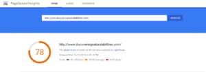 Google Page Speed Insights Google Page Speed Insights