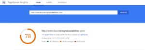 Google Page Speed Insights